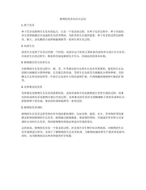 植物的发育知识点总结