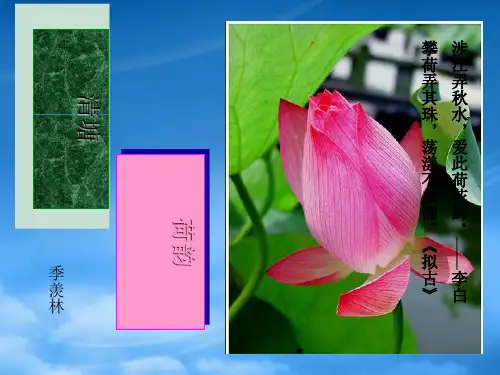 八级语文上册《清塘荷韵》课件 苏教(通用)
