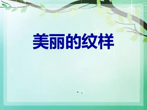 《美丽的纹样》PPT优秀课件
