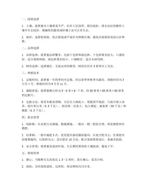 种植菠萝蜜技术管理要点