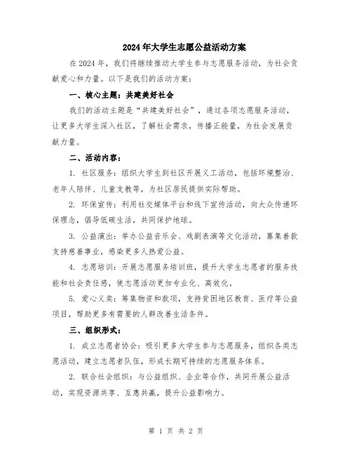 2024年大学生志愿公益活动方案