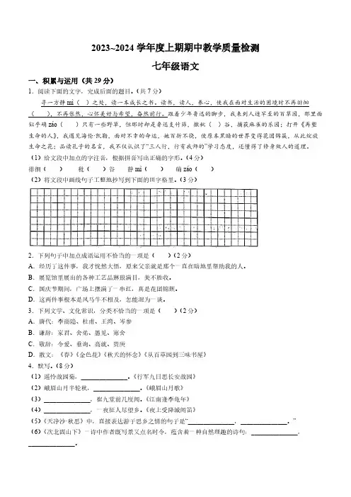 河南省漯河市郾城区2023-2024学年七年级上学期期中语文试题(含答案)