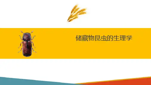 储藏物昆虫的生理学—生殖系统及其生理