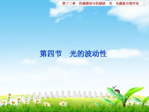 2019届高考物理(人教浙江版)一轮复习课件：第12章机械振动与机械波、光、电磁波与相对论4第四节