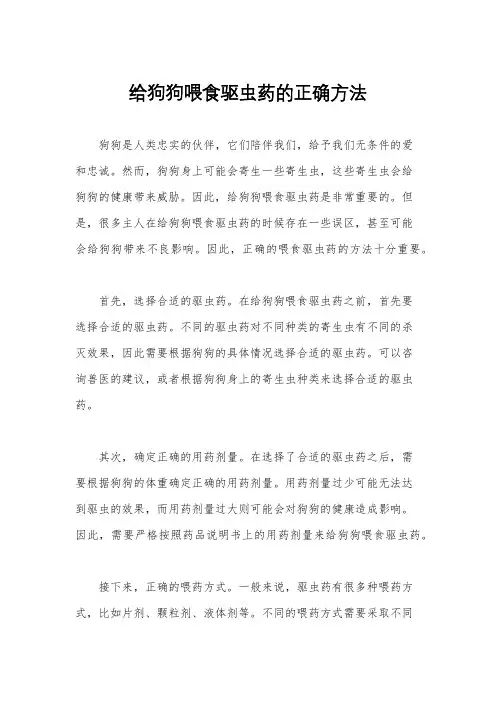 给狗狗喂食驱虫药的正确方法