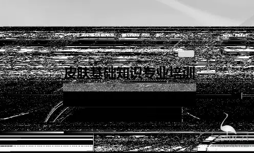 皮肤基础知识专业培训PPT课件