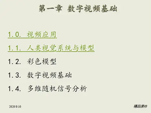 人眼视觉原理