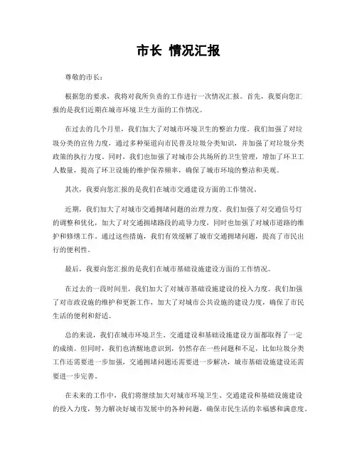 市长 情况汇报