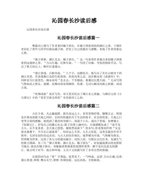 沁园春长沙读后感