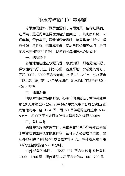 淡水养殖热门鱼―赤眼鳟