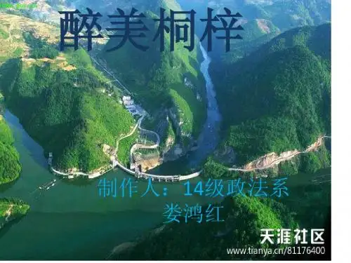 遵义桐梓风景