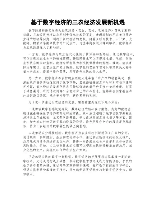 基于数字经济的三农经济发展新机遇