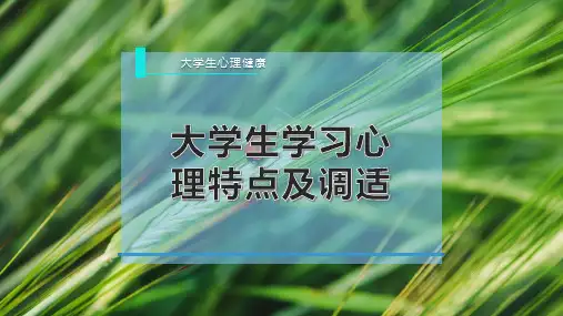 大学生学习心理特点及调适