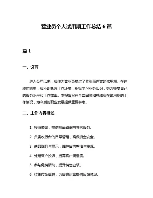 营业员个人试用期工作总结6篇