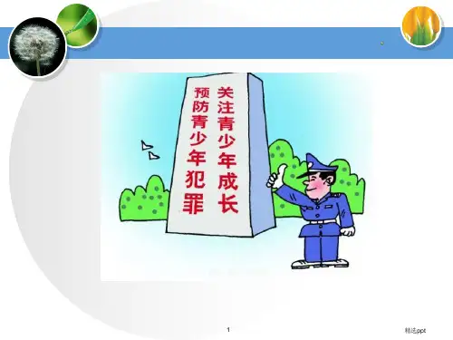 小学生预防未成年人不良行为ppt课件