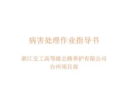 沥青路面病害处理PPT课件