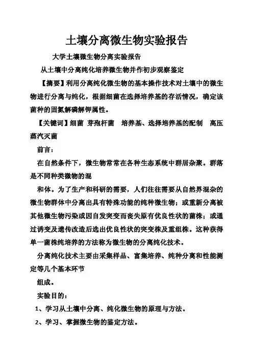 土壤分离微生物实验报告