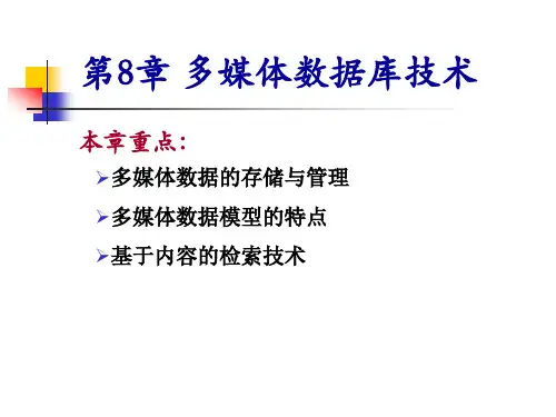 第8章 多媒体数据库