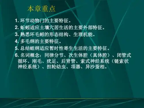 动物学 环节动物