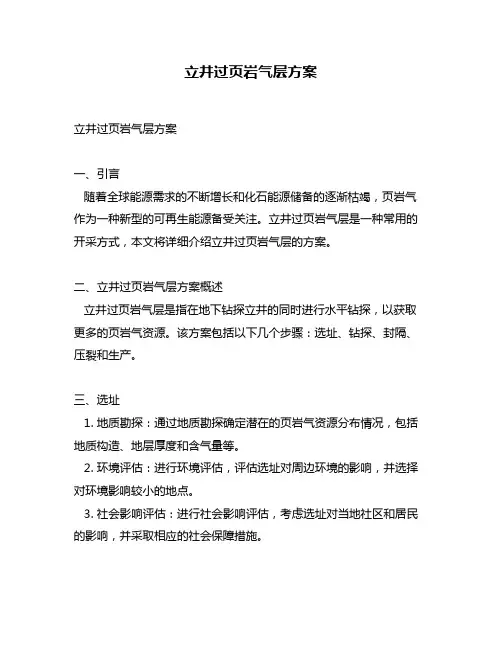 立井过页岩气层方案