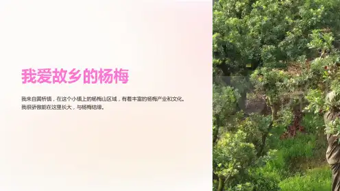《我爱故乡的杨梅》课件