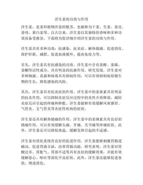 洋生姜的功效与作用