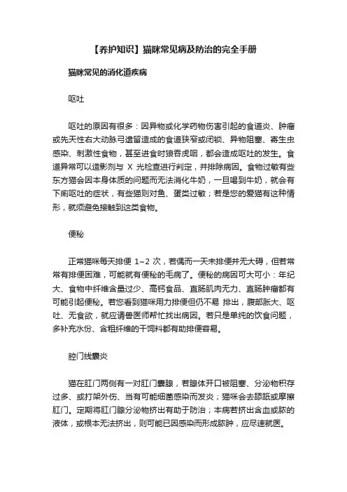 【养护知识】猫咪常见病及防治的完全手册
