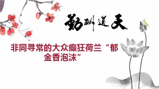 非同寻常的大众癫狂荷兰 郁金香泡沫 