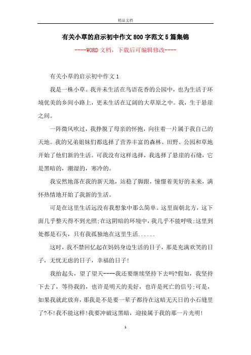 有关小草的启示初中作文800字范文5篇集锦
