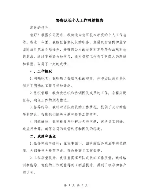 督察队长个人工作总结报告