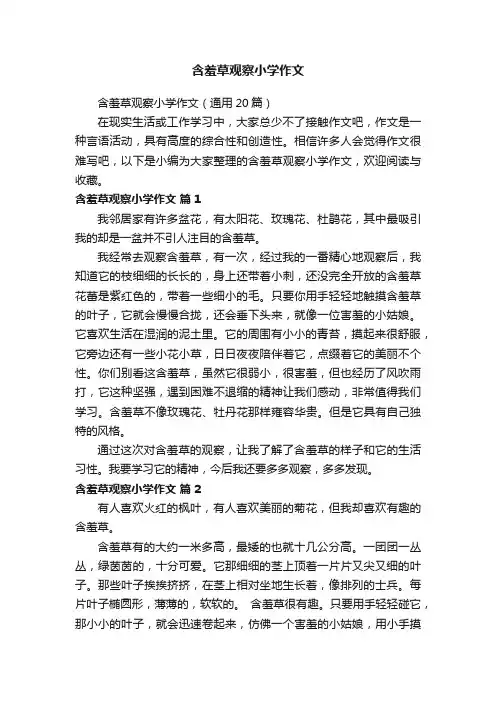 含羞草观察小学作文（通用20篇）