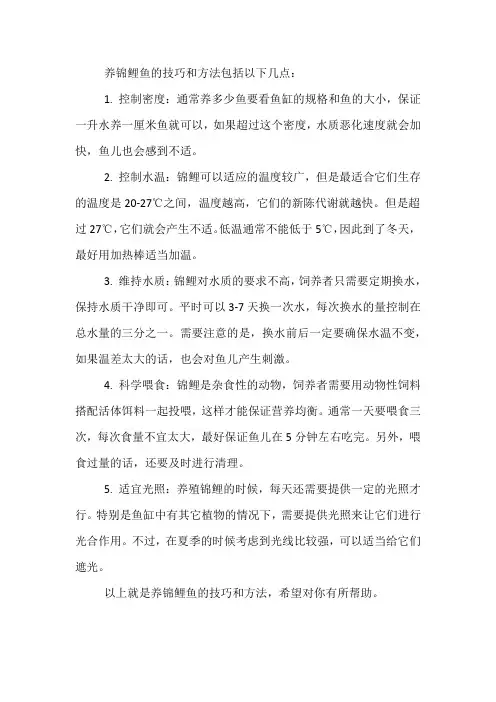 养锦鲤鱼的技巧和方法