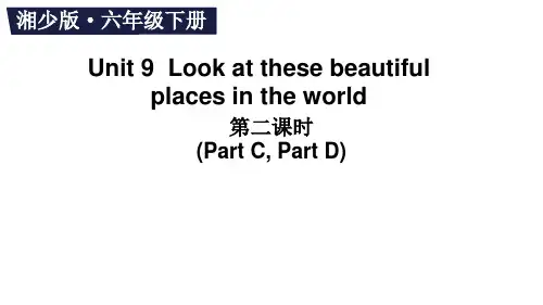 湘少版(三起)英语六年级下册Unit 9  Part C,Part D课件