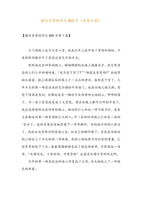 描写雪景的作文800字(合集3篇)