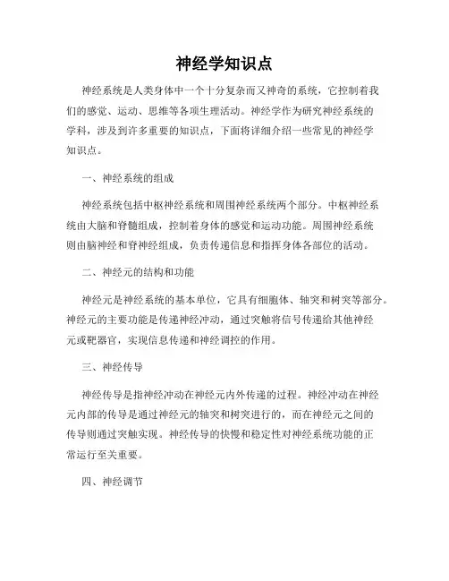 神经学知识点
