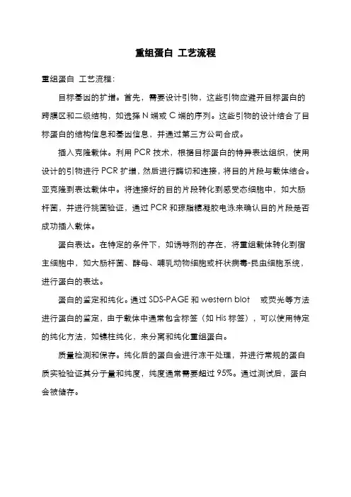 重组蛋白 工艺流程