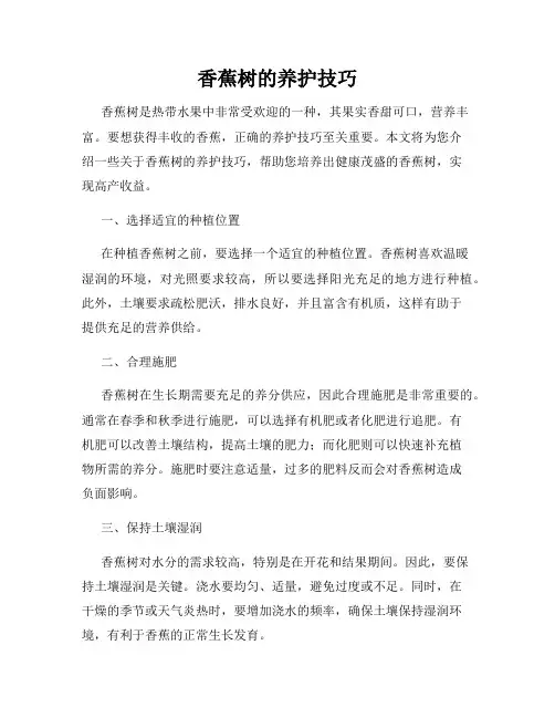 香蕉树的养护技巧