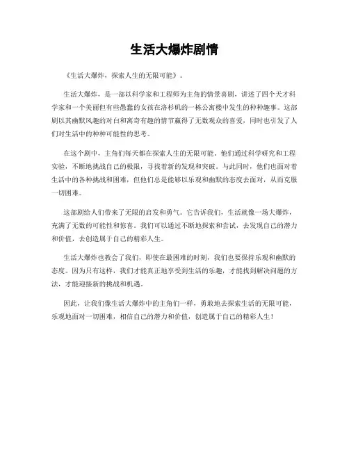 生活大爆炸剧情