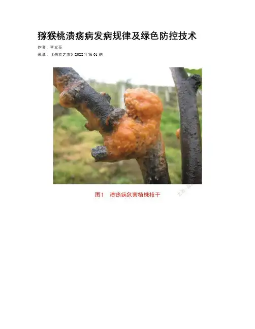 猕猴桃溃疡病发病规律及绿色防控技术