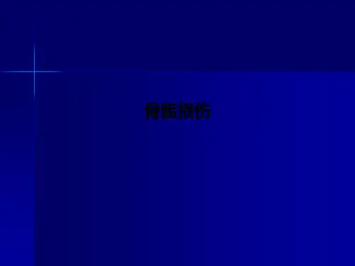 骨骺损伤PPT课件