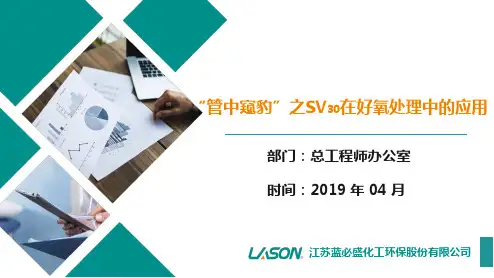 管中窥豹之SV30在好氧系统中的应用4.2