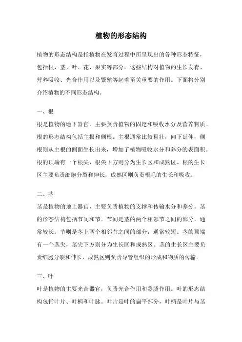 植物的形态结构