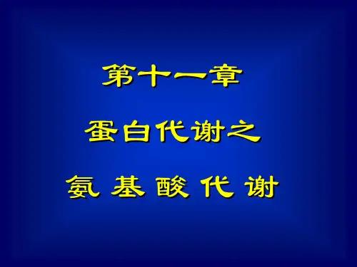 氨基酸代谢ppt