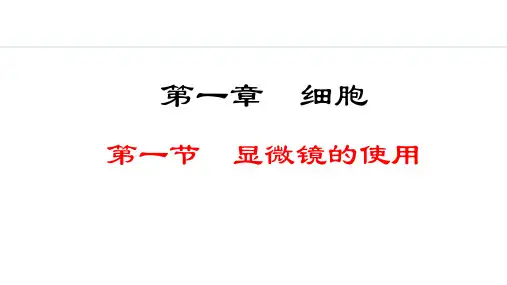 1.1.1  显微镜的使用课件-2024-2025学年冀少版生物七年级上册