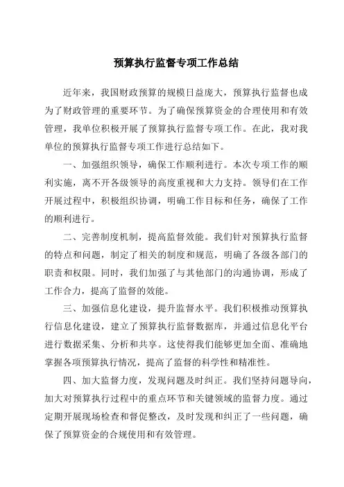 预算执行监督专项工作总结