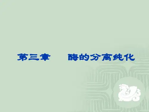 酶的分离 纯化