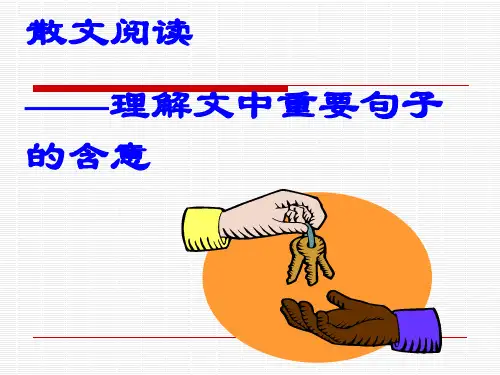 散文阅读理解重要句子的含义