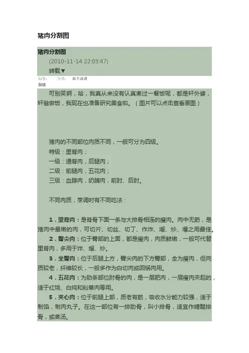 猪肉分割图