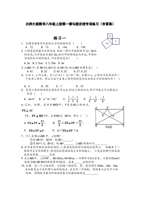 北师大版数学八年级上册第一章勾股定理专项练习(含答案)