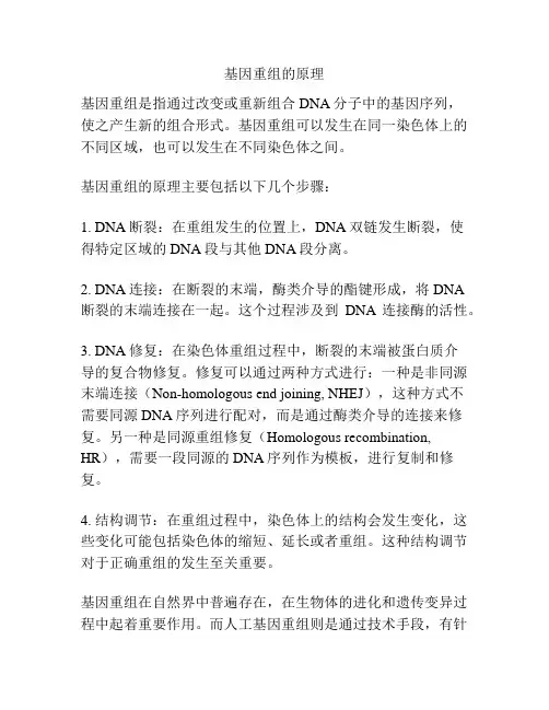 基因重组的原理